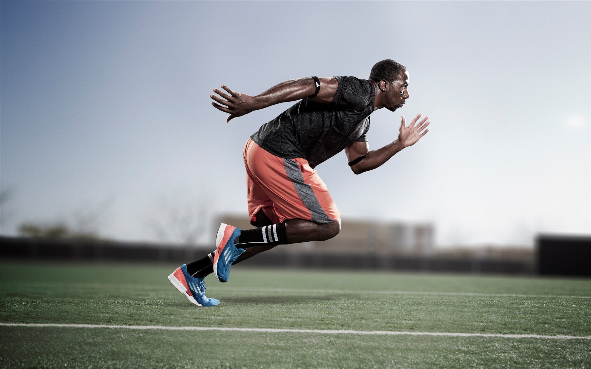 年度焦点之战之夜，霍勒迪一控定乾坤